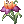 Valhala's Flower
