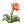 875 - Pampeliska (Pampeliska)