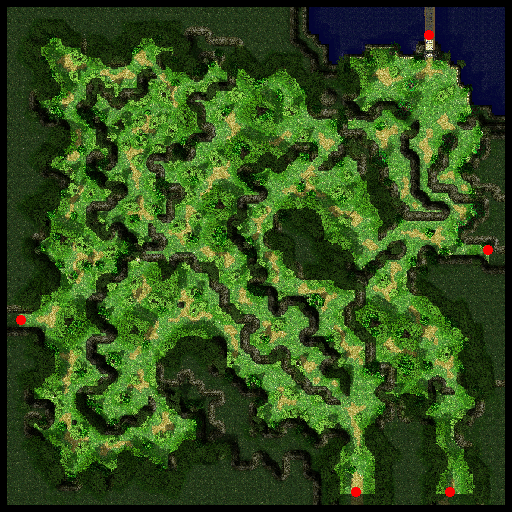 pay_fild01 (Payon Forest) (400 x 400) | Zeny rate: 307