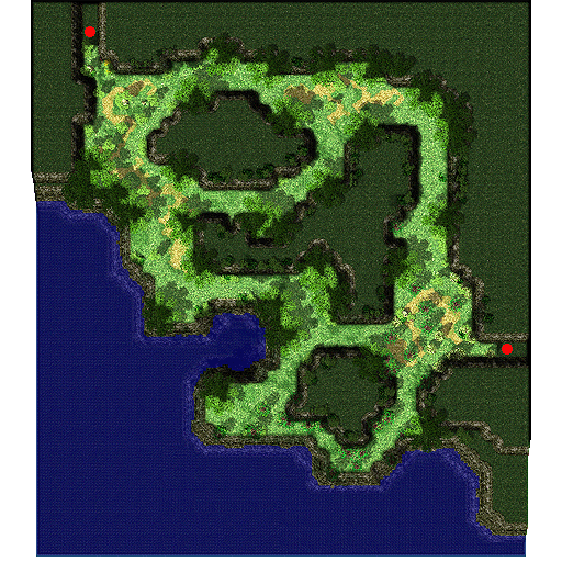 pay_fild11 (Payon Forest) (320 x 360) | Zeny rate: 600