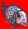 Piranha(2070)
